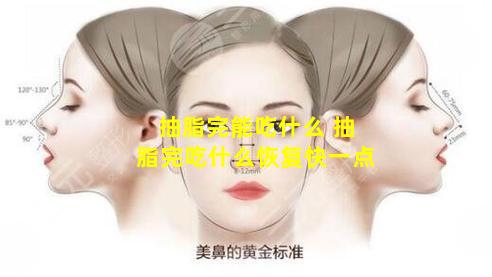 抽脂完能吃什么 抽脂完吃什么恢复快一点